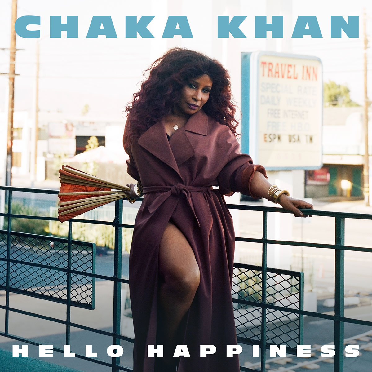 11Chaka Khan – Hello Happiness – CMS Source
