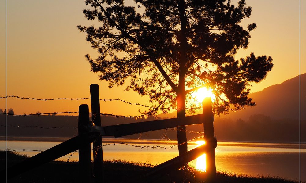 Pure Emotionen Das Airbeat One Aftermovie 2017 Soundjungle De